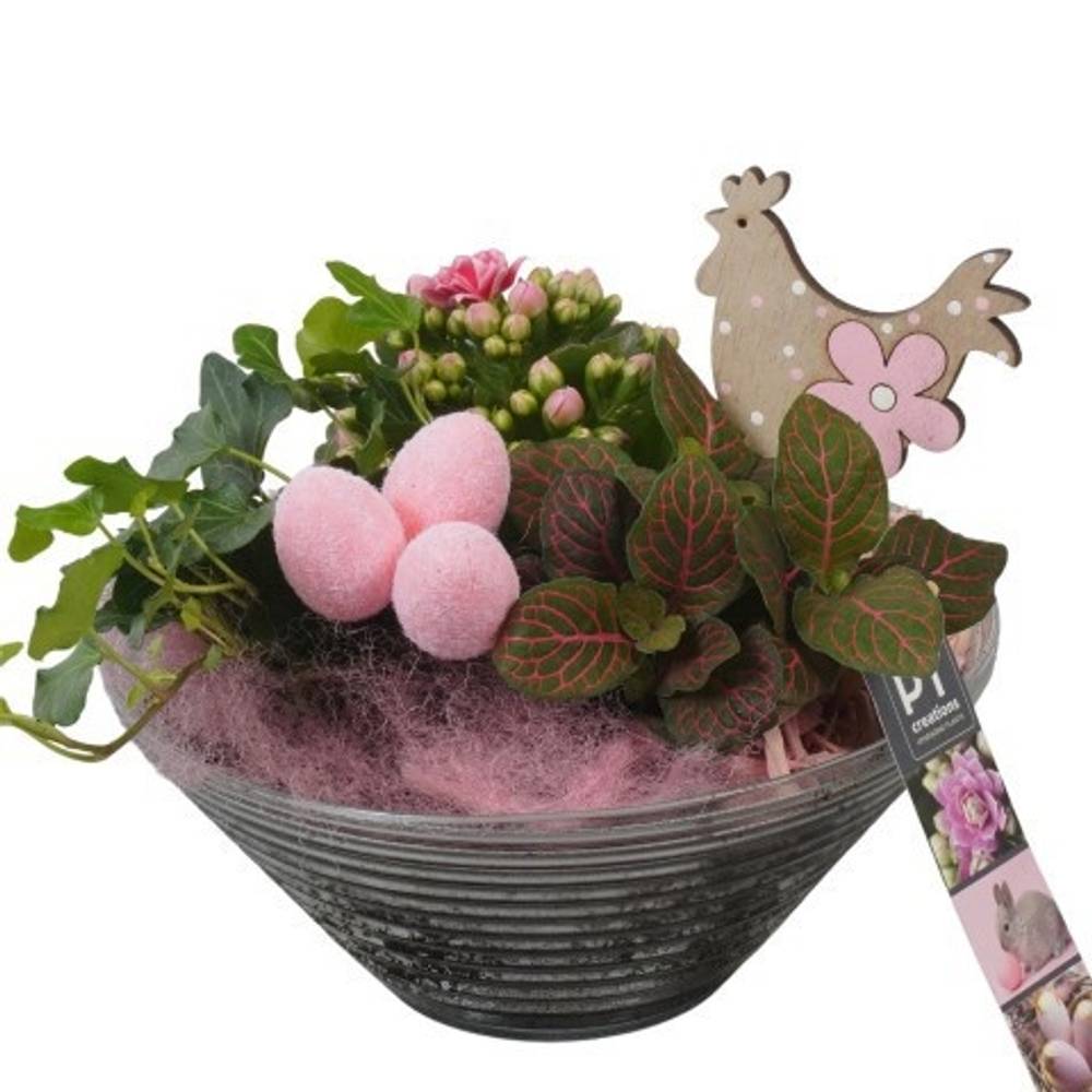 Kal.Arr PTPG9351 Ostern T19 H022