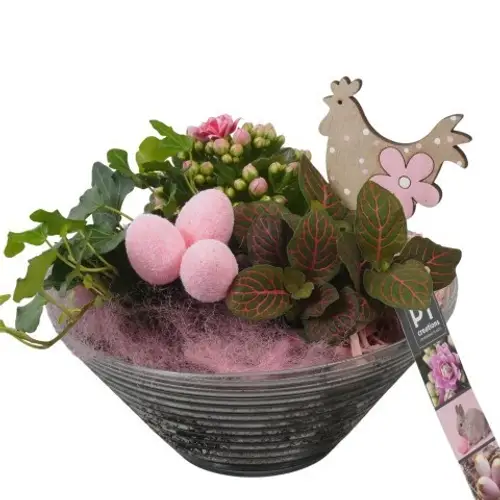 Kal.Arr PTPG9351 Ostern T19 H022