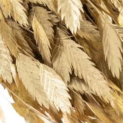 Chasmanthium gold gefärbt 70cm