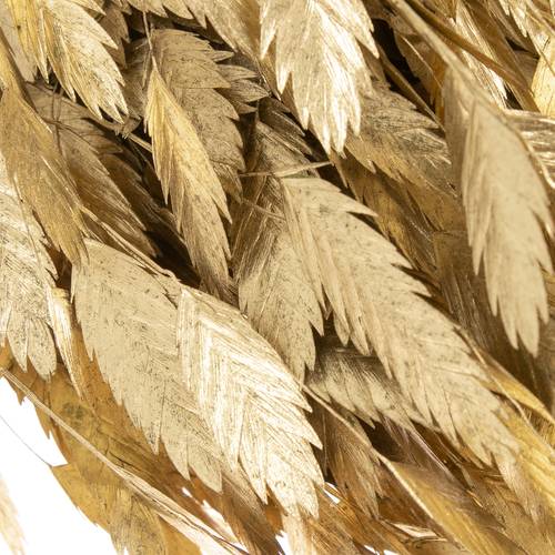 Chasmanthium gold gefärbt 70cm