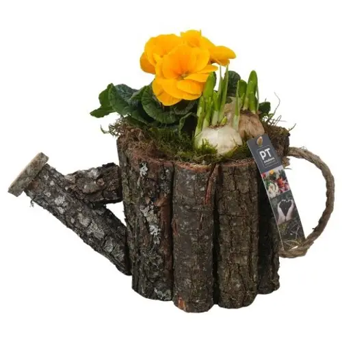 Garten.Arr PTBM3960 T30 H026