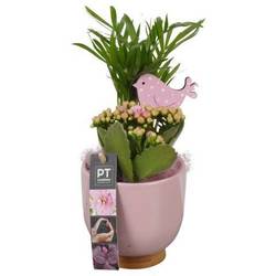 Frühling.Arr PTIB9032 T11 H026
