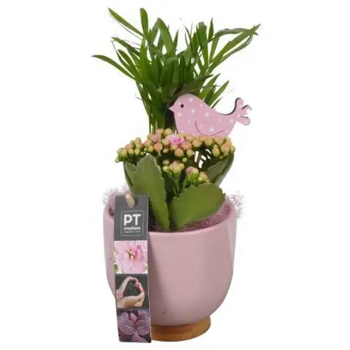 Frühling.Arr PTIB9032 T11 H026