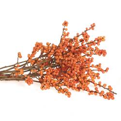 Ilex orange     40cm