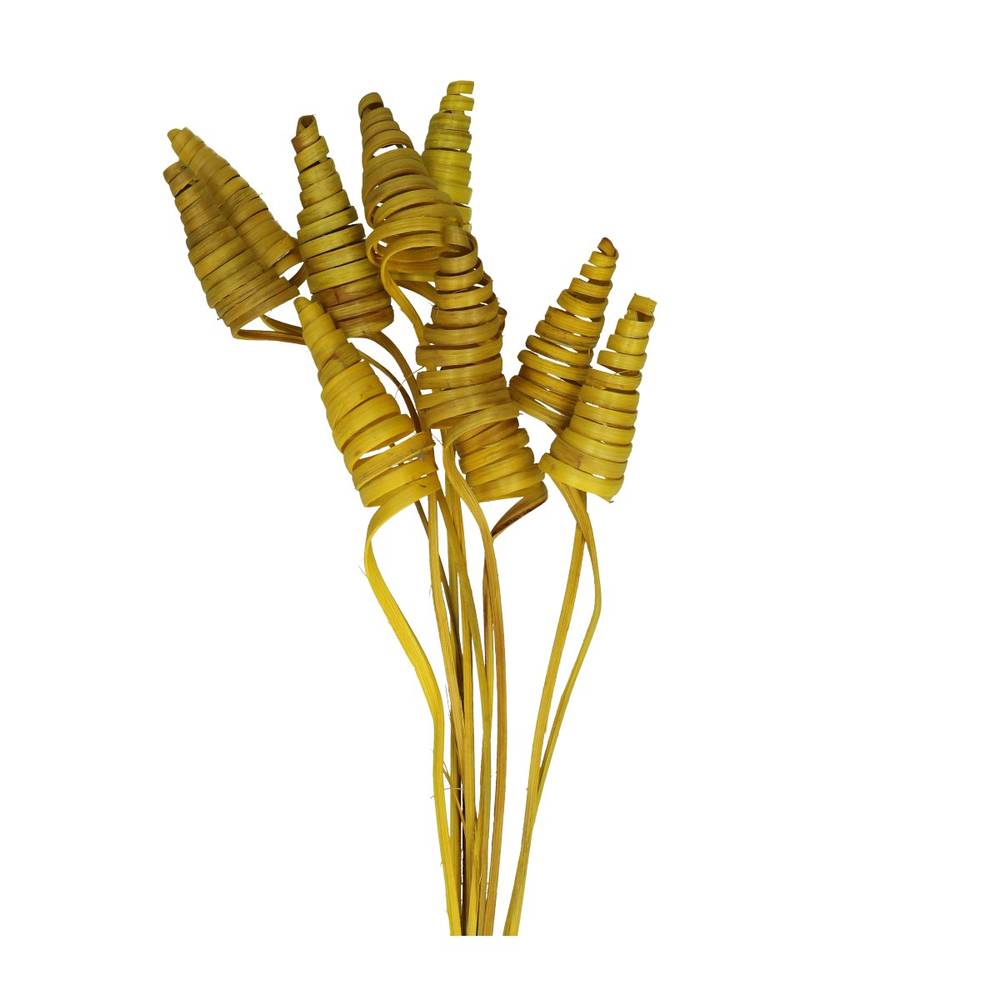 Trocken Cane Cone auf Stab gelb L50cm