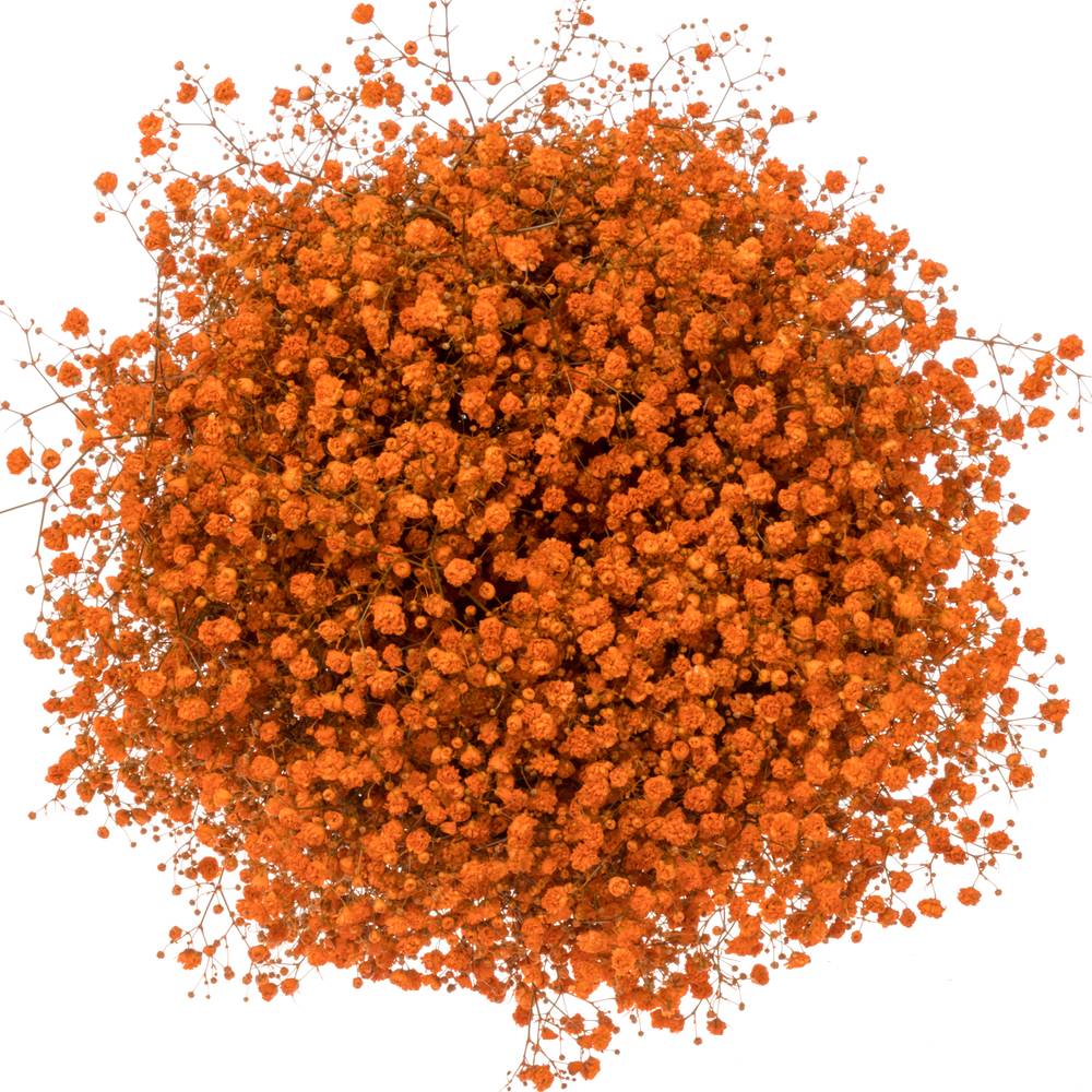 Gyps orange grosse Blüte gefärbt