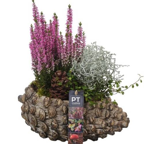 Garten.Arr PTHO4268 Herbst T28 H031