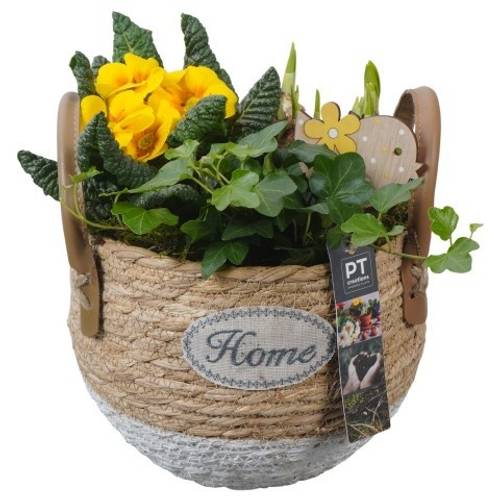 Garten.Arr PTBM3831 T21 H023