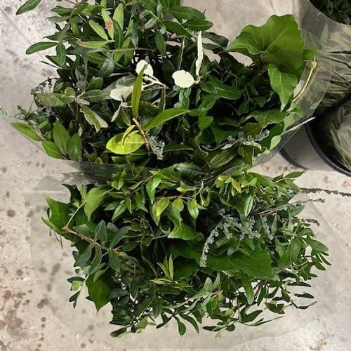 Grün mix Buschwaren 250 Gramm 50cm