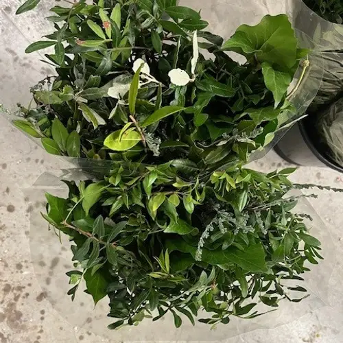 Grün mix Buschwaren 250 Gramm 50cm