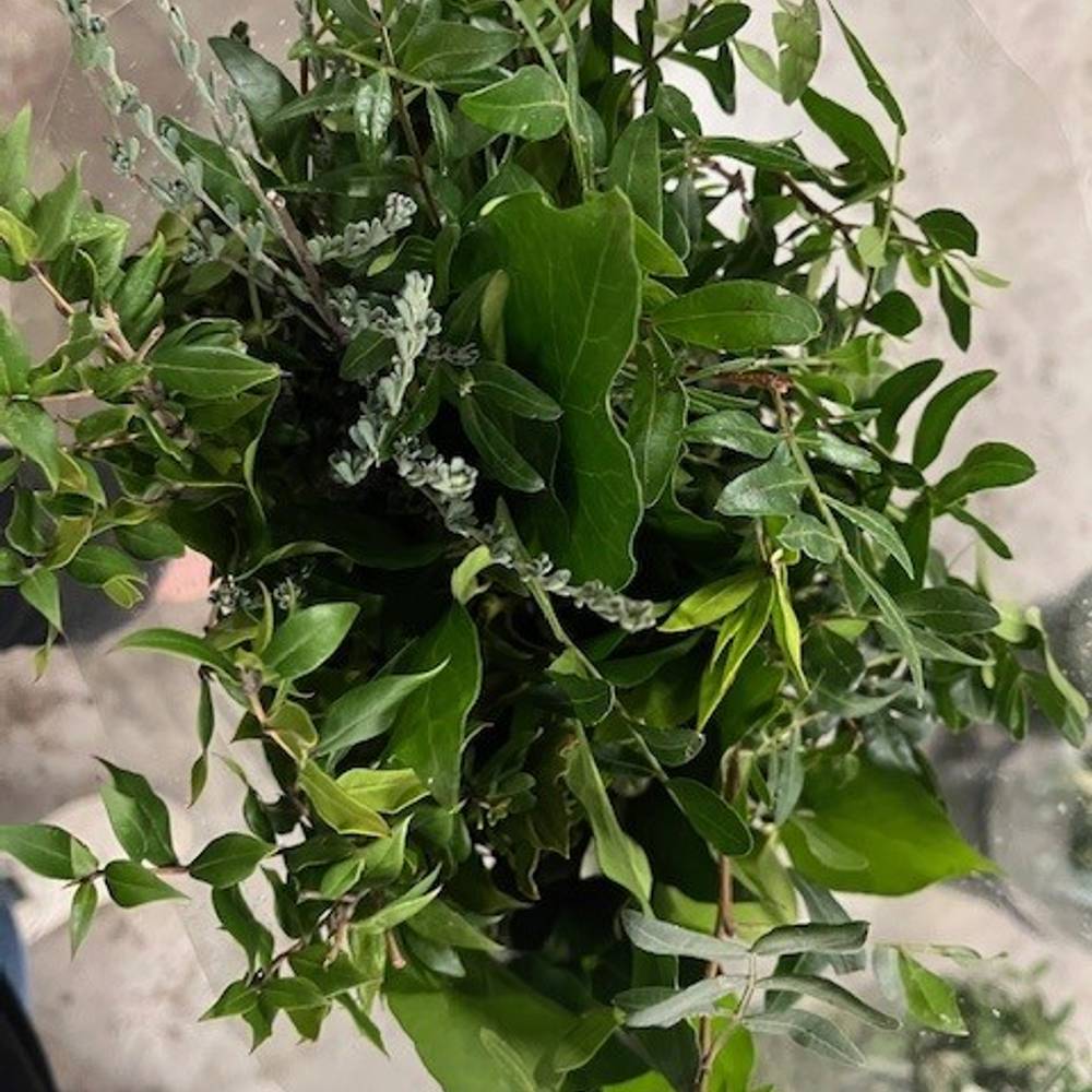 Grün mix Buschwaren 250 Gramm 50cm