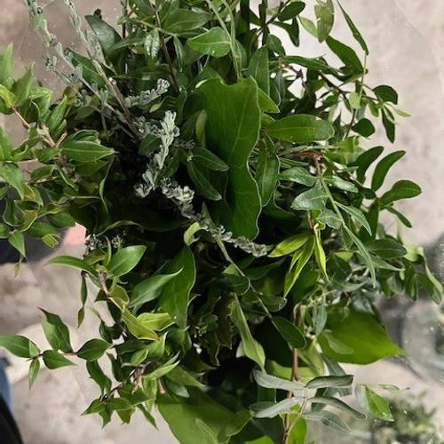 Grün mix Buschwaren 250 Gramm 50cm