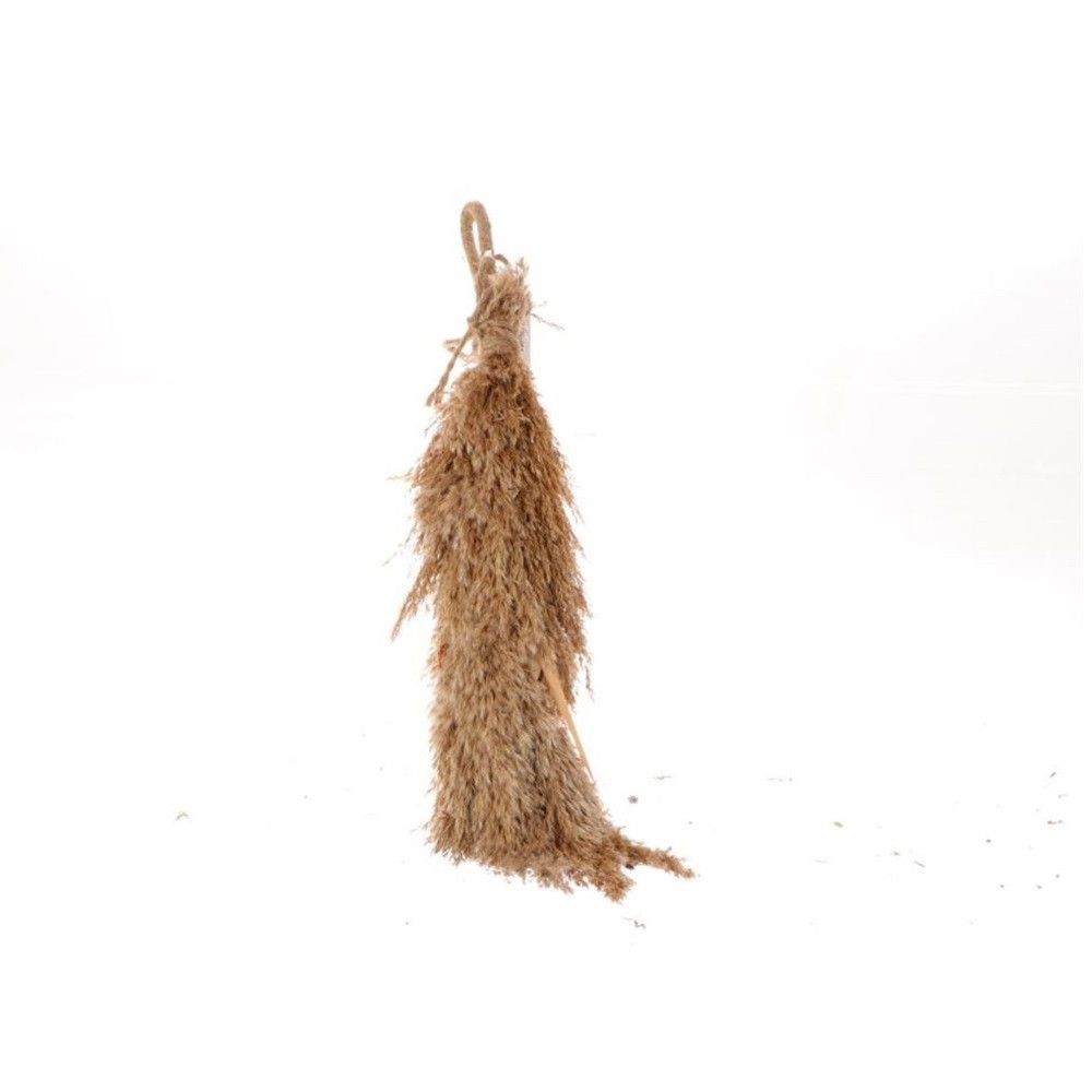 Trocken Pampas hängend L50cm