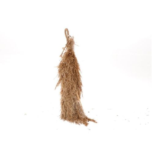 Trocken Pampas hängend L50cm