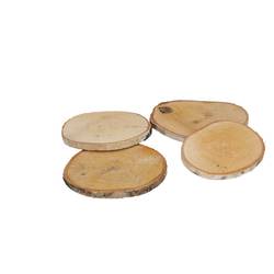 Trocken Birke Scheibe D09-10cm x10