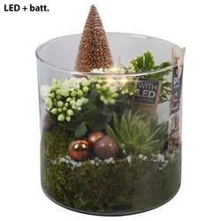 Kal.Arr PTCHB9877 Weihnachten T19 H021