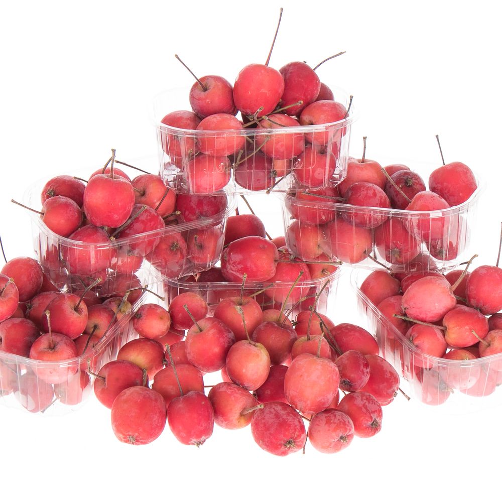 Äpfel Malus rot Klein im Karton