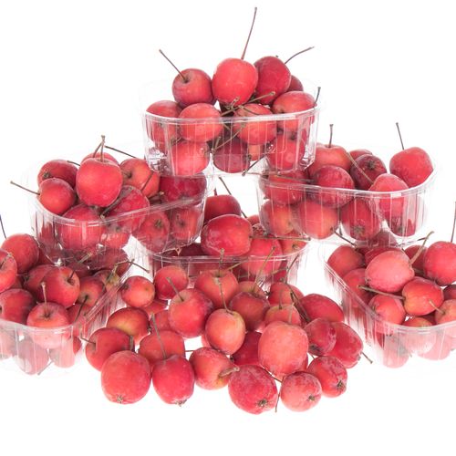 Äpfel Malus rot Klein im Karton