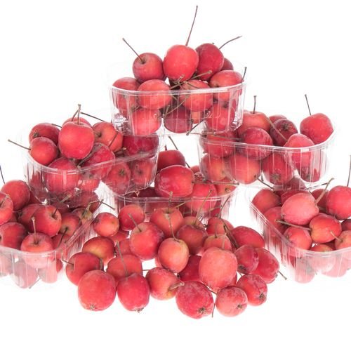 Äpfel Malus rot Klein im Karton