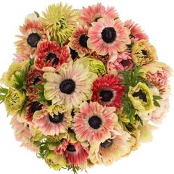 Anemone creme/rot gefüllt Fullstar 06 45cm