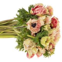 Anemone creme/rot gefüllt Fullstar 06 45cm