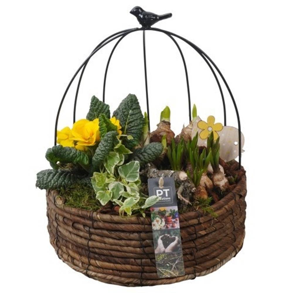 Garten.Arr PTBM3860 T20 H032