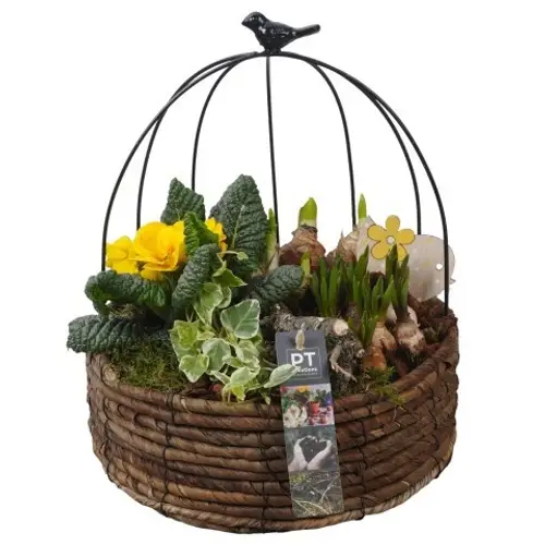 Garten.Arr PTBM3860 T20 H032