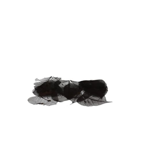 Skeleton Blätter schwarz x200