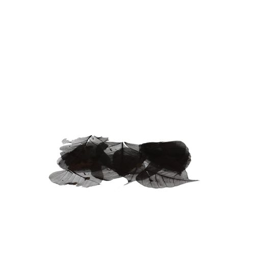 Skeleton Blätter schwarz x200