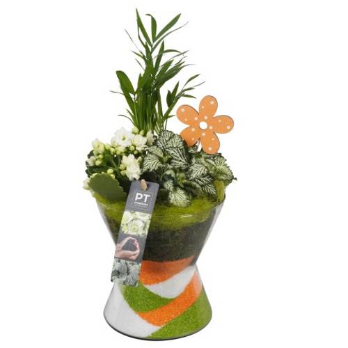 Frühling.Arr PTIG6878 T15 H033