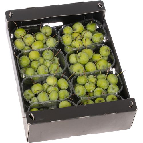 Aepfelchen Midi grün