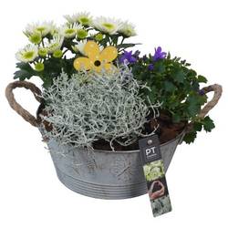 Garten.Arr PTSO6009 T23 H023