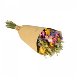 Trockenblumen Strauss Field mix L50cm