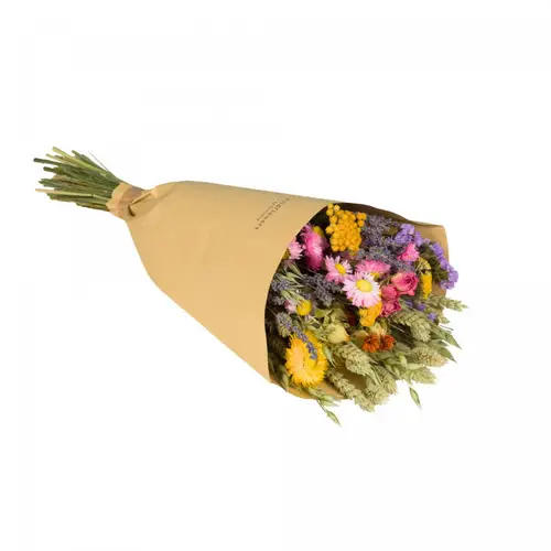 Trockenblumen Strauss Field mix L50cm