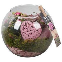 Kal.Arr PTVMG4986 T16 H018