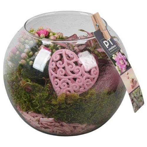 Kal.Arr PTVMG4986 T16 H018