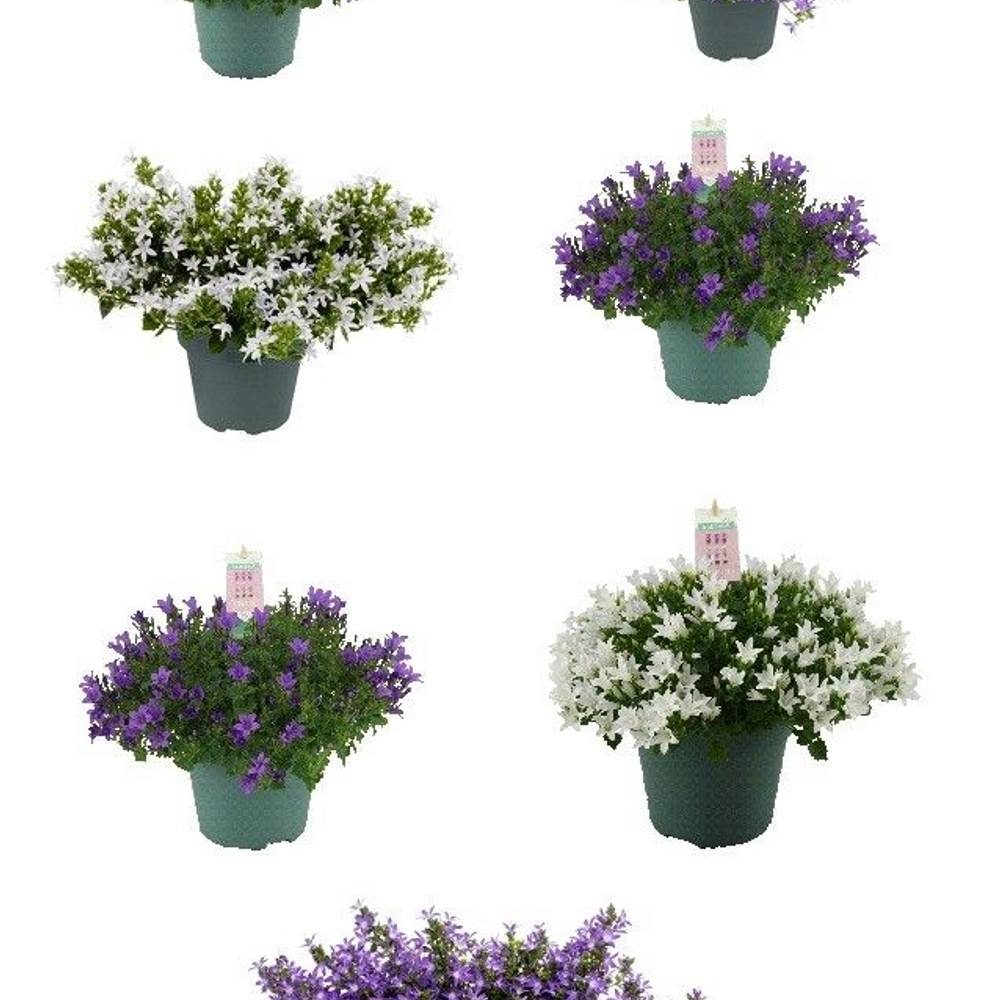 Camp.Add mix T15 H30