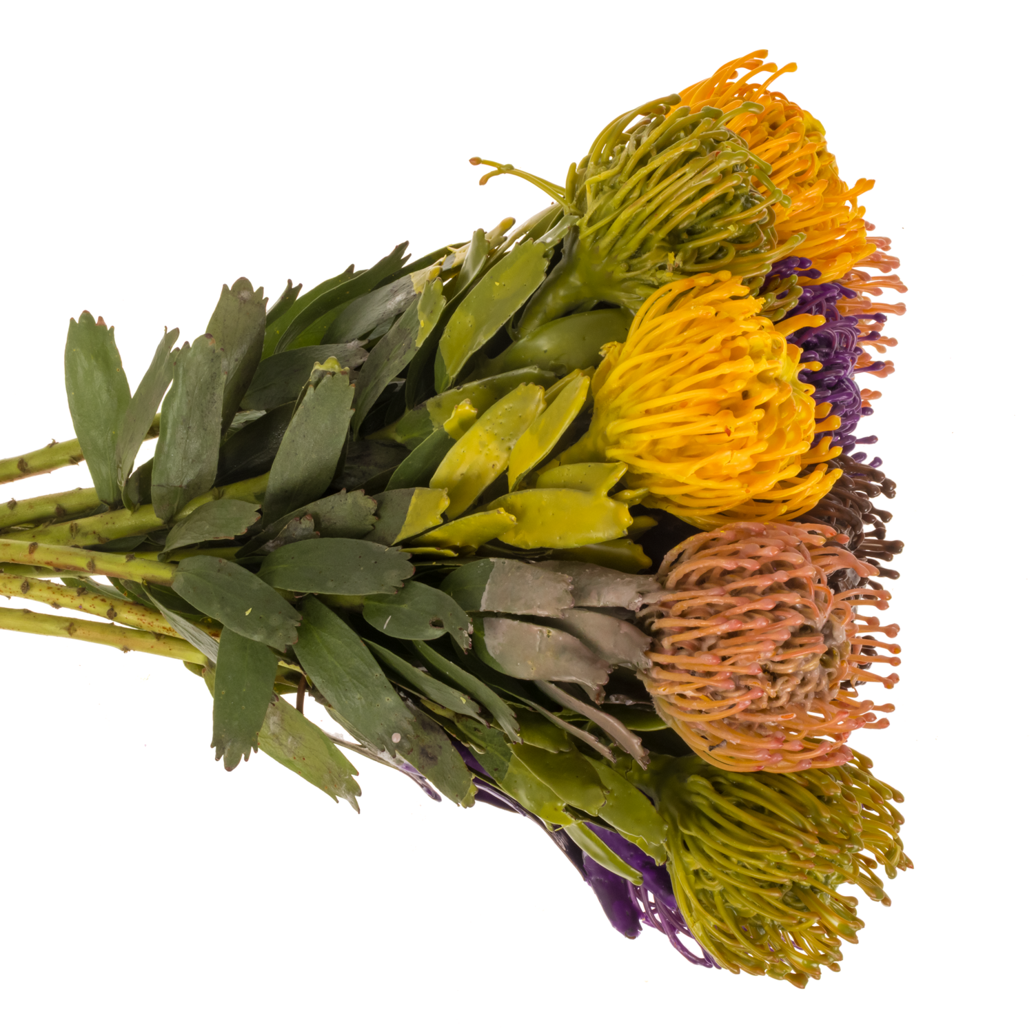 Nutans mix herbst Wachs 60cm