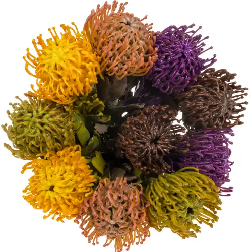 Nutans mix herbst Wachs 60cm