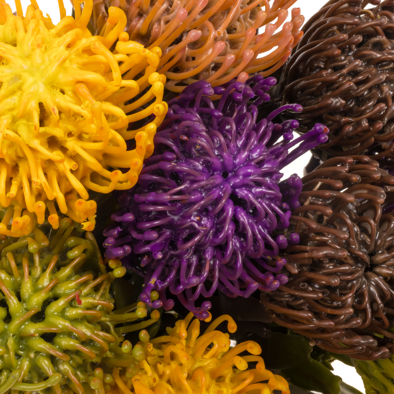 Nutans mix herbst Wachs 60cm