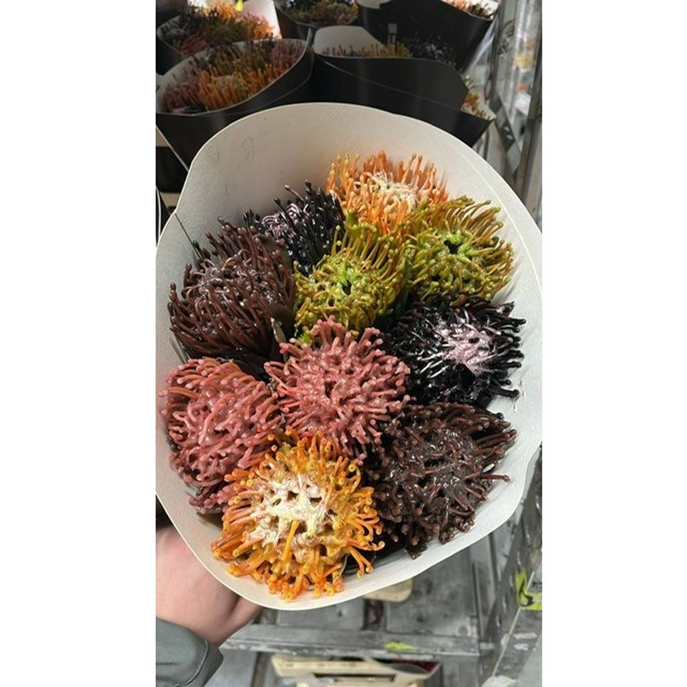 Nutans mix herbst Wachs 60cm