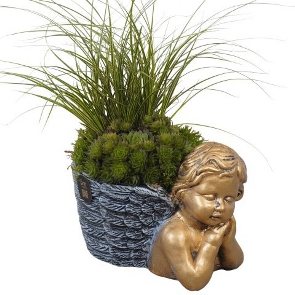 Semper.Arr PTAH3029 Allerheiligen T19 H029