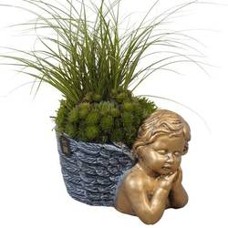 Semper.Arr PTAH3029 Allerheiligen T19 H029
