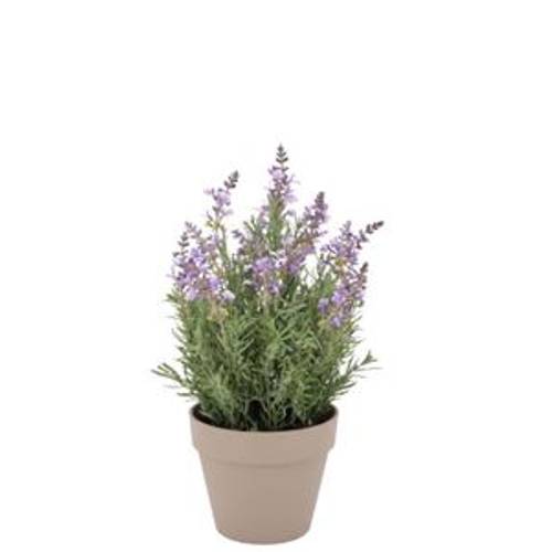 Seiden Lavendel lila im Übertopf D17cm H23cm