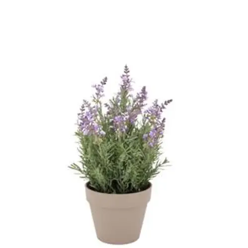 Seiden Lavendel lila im Übertopf D17cm H23cm