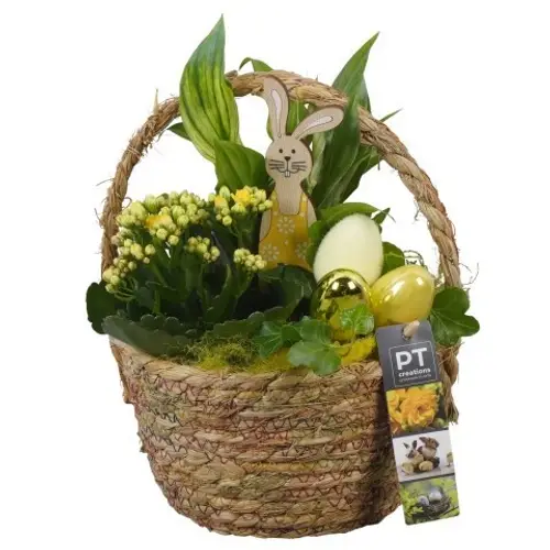 Spath.Arr PTPB6542 Ostern T18 H030