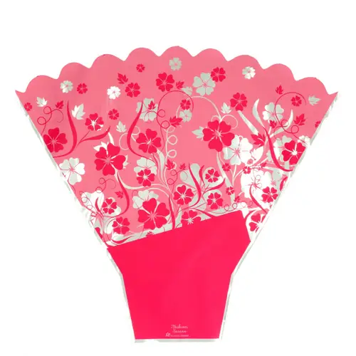 Tüte Sereno rot 50x55x14cm x50 