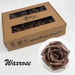 Seiden Wachs Rose perl braun