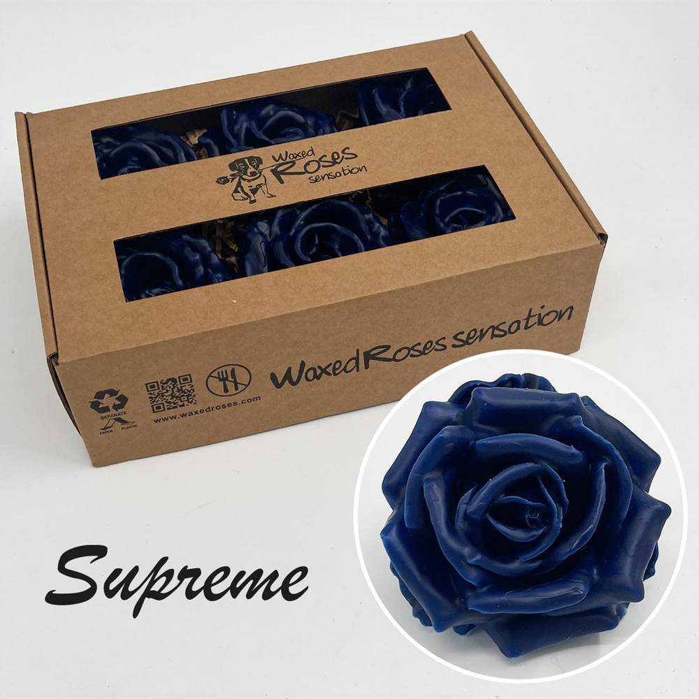 Seiden Wachs Rose blau Super Gross