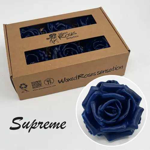 Seiden Wachs Rose blau Super Gross